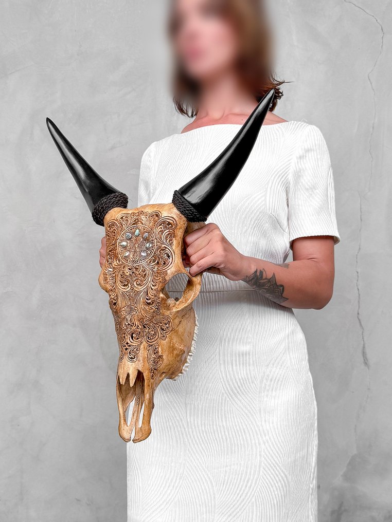 NO RESERVE PRICE - Hand Carved Brown Cow Skull -Peacock Motif with Green Abalone shell- Carved skull - Bos taurus - 54 cm - 43 cm - 15 cm- Non-CITES species - (1) #4.3