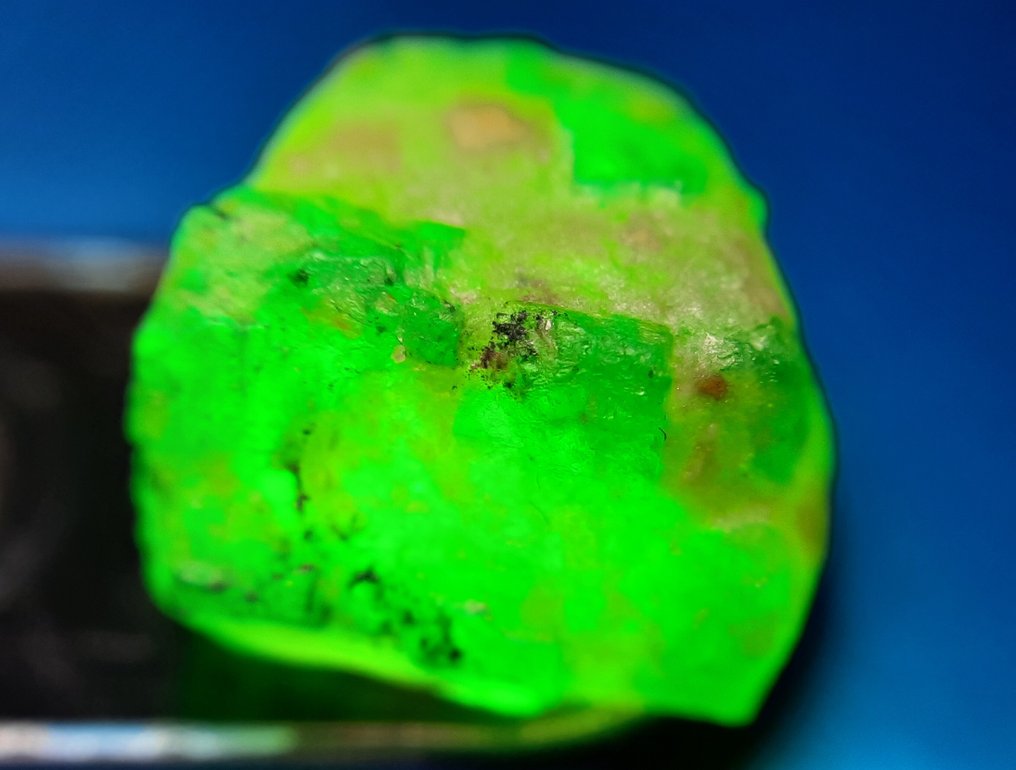 Untreated Natural Emerald - 8.1 cts - Rough- 1.62 g #4.3