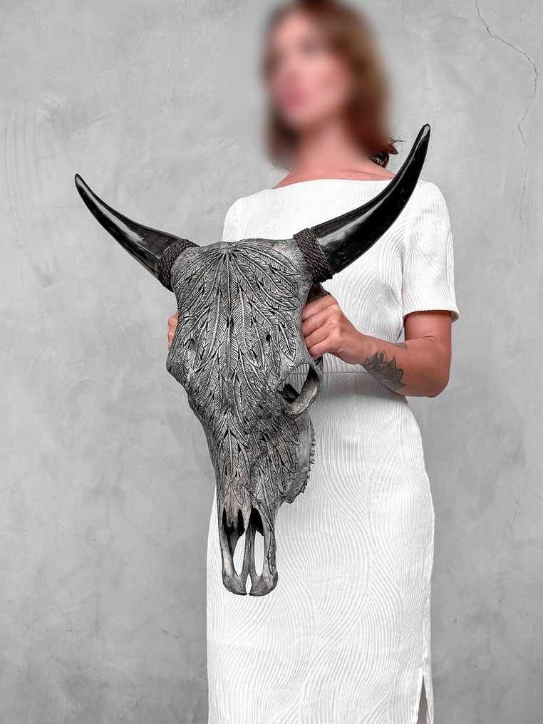 NO RESERVE PRICE - Authentic Grey Hand-Carved Bull Skull - Feathers Motif- Carved skull - Bos Taurus - 60 cm - 53 cm - 21 cm- Non-CITES species - (1) #3.2