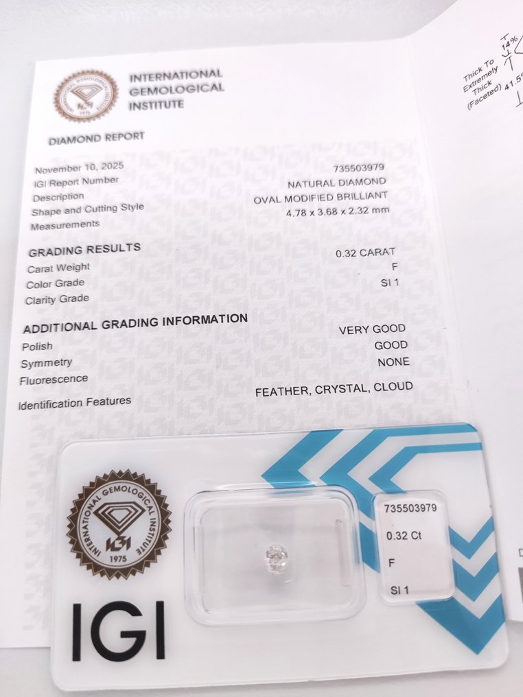 没有保留价 - 1 pcs 钻石  (天然)  - 0.32 ct - 椭圆形 - F - SI1 微内含一级 - 国际宝石研究院（IGI） #3.2