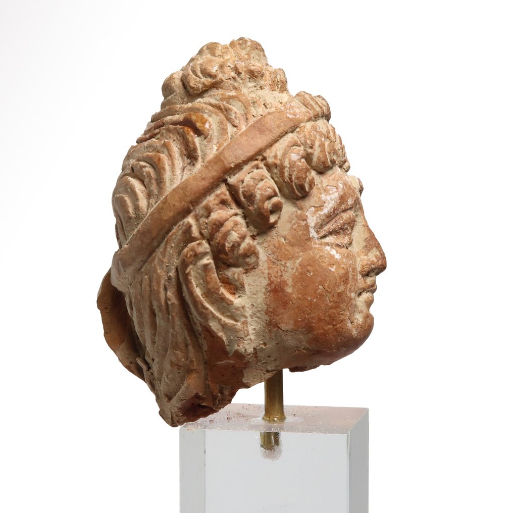 Gandhara Terracotta Testa del giovane Buddha #3.2