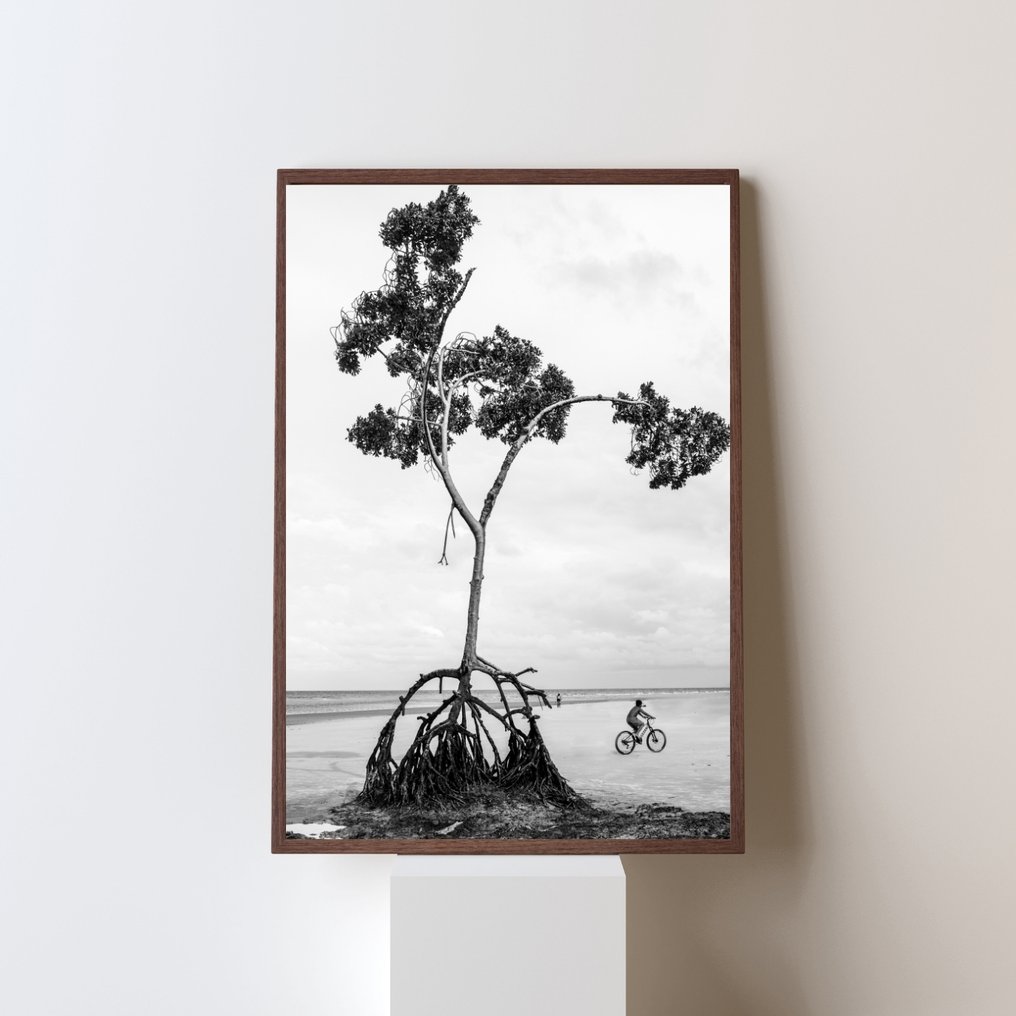 Gilliard Bressan - Mangrove Tree - XL #2.1