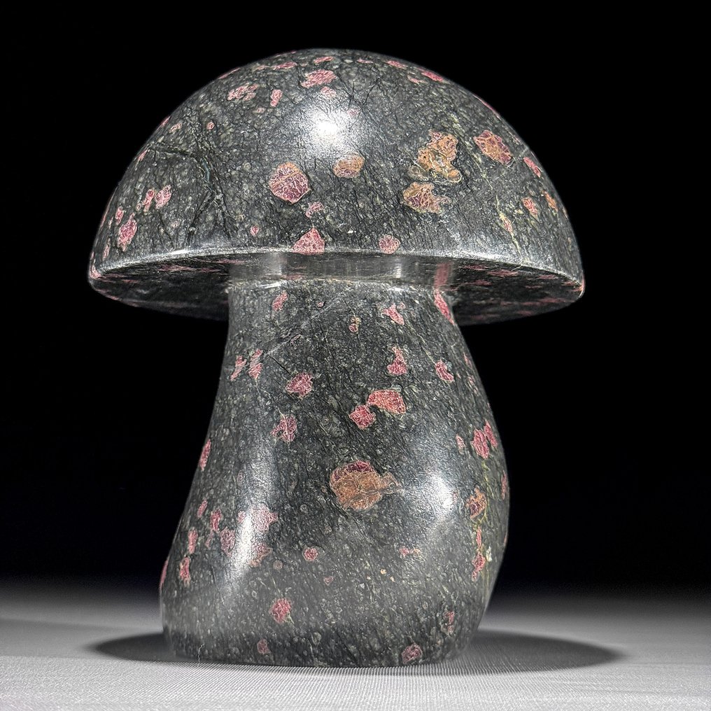 Senza prezzo minimo - Scultura di funghi in zoisite rubino intagliata a mano Pezzo unico da collezione- 2800 g - (1) #4.3