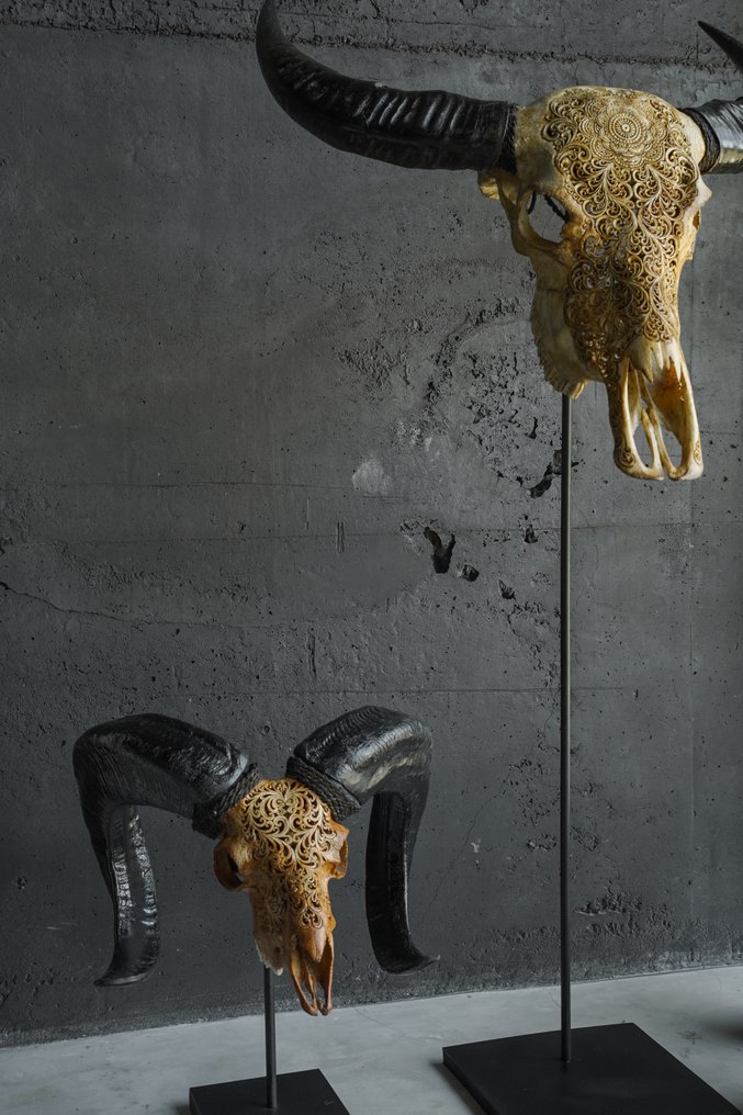 NO RESERVE PRICE - Authentic Grey Hand-Carved Ram Skull with Carved Horn-Badong Motif- Carved skull - Ovis Aries - 42 cm - 37 cm - 20 cm- Non-CITES species - (1) #3.2