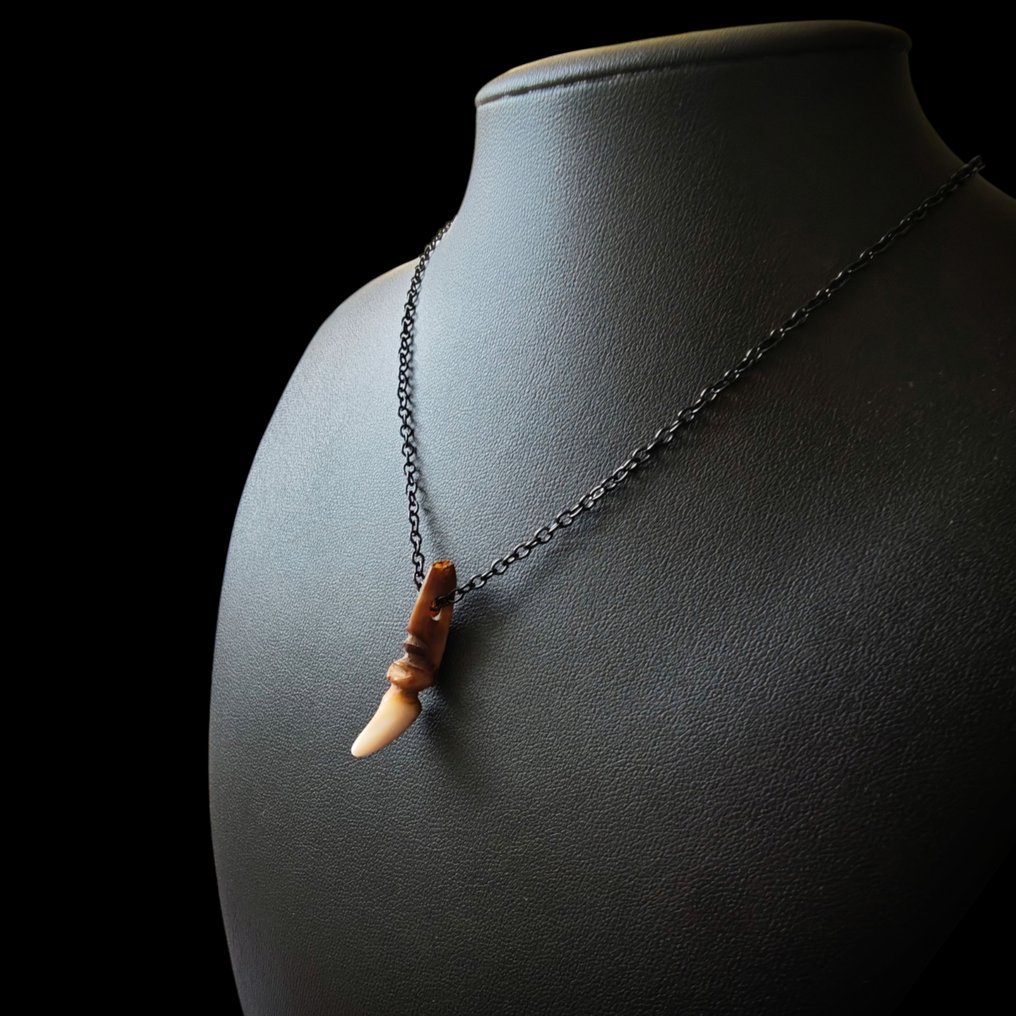 哥伦布前泰诺文化 美丽稀有的护符吊坠，配有Zemi神像雕像 + 首饰链 #4.3