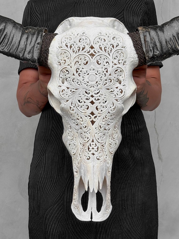 NO RESERVE PRICE-C-Large White Hand-Carved Water Buffalo Skull - Small Lotus Motif- Carved skull - Bubalus Bubalis - 78 cm - 71 cm - 19 cm- Non-CITES species -  (1) #1.0