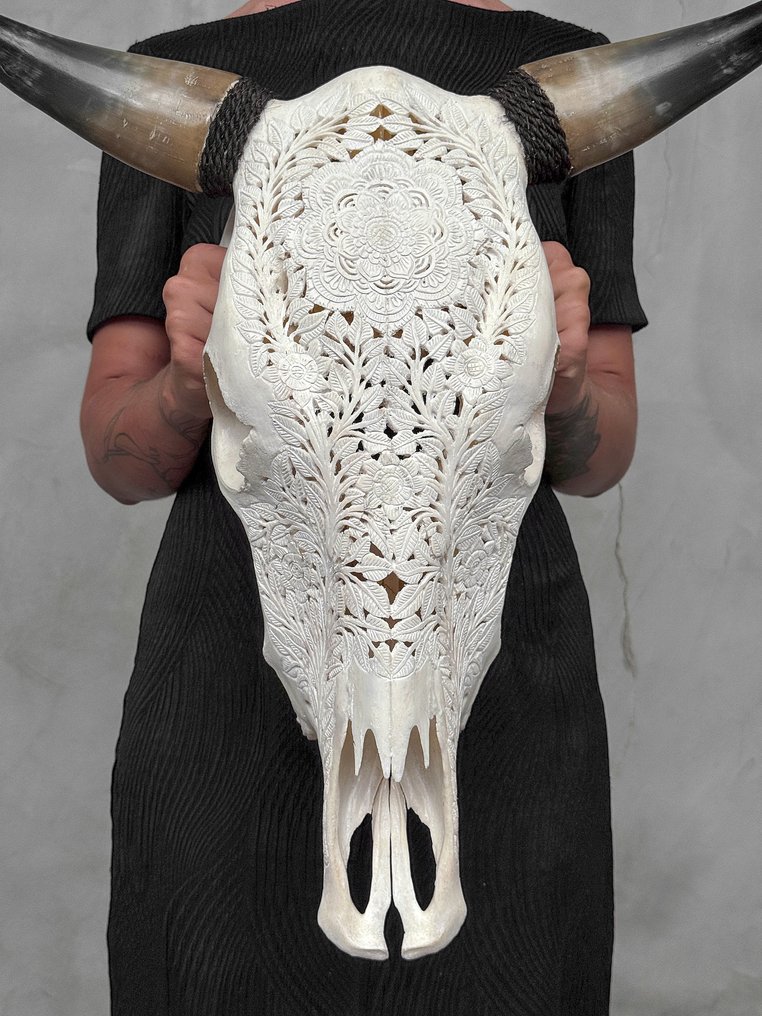 NO RESERVE PRICE - Authentic White Hand-Carved Bull Skull - Flower Mandala Motif- Carved skull - Bos Taurus - 54 cm - 52 cm - 18 cm- Non-CITES species -  (1) #1.0
