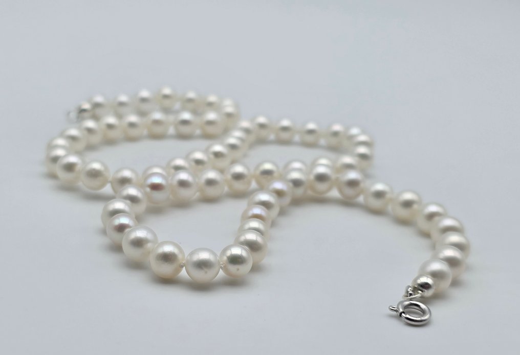 沒有保留價 - 頸鏈 - 18 克拉 白金 珍珠 - 阿科雅珍珠直径为6.2至6.6毫米。 #1.0