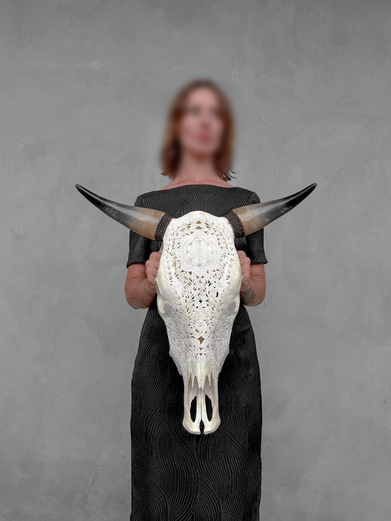 NO RESERVE PRICE - Authentic White Hand-Carved Bull Skull - Flower Mandala Motif- Carved skull - Bos Taurus - 54 cm - 52 cm - 18 cm- Non-CITES species -  (1) #4.3