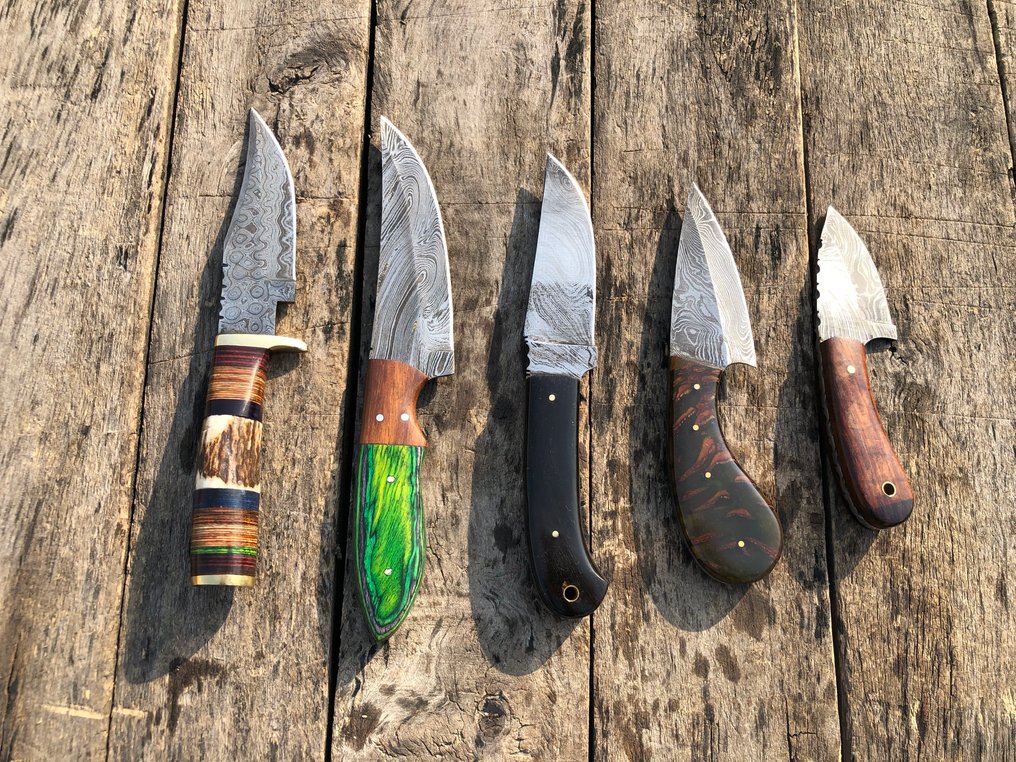 廚刀 - 享有盛誉的手工制作Skinners刀，锻造钢材，鹿角，木材及稀有材质柄 - 北美 - 皮套（A32） #4.3