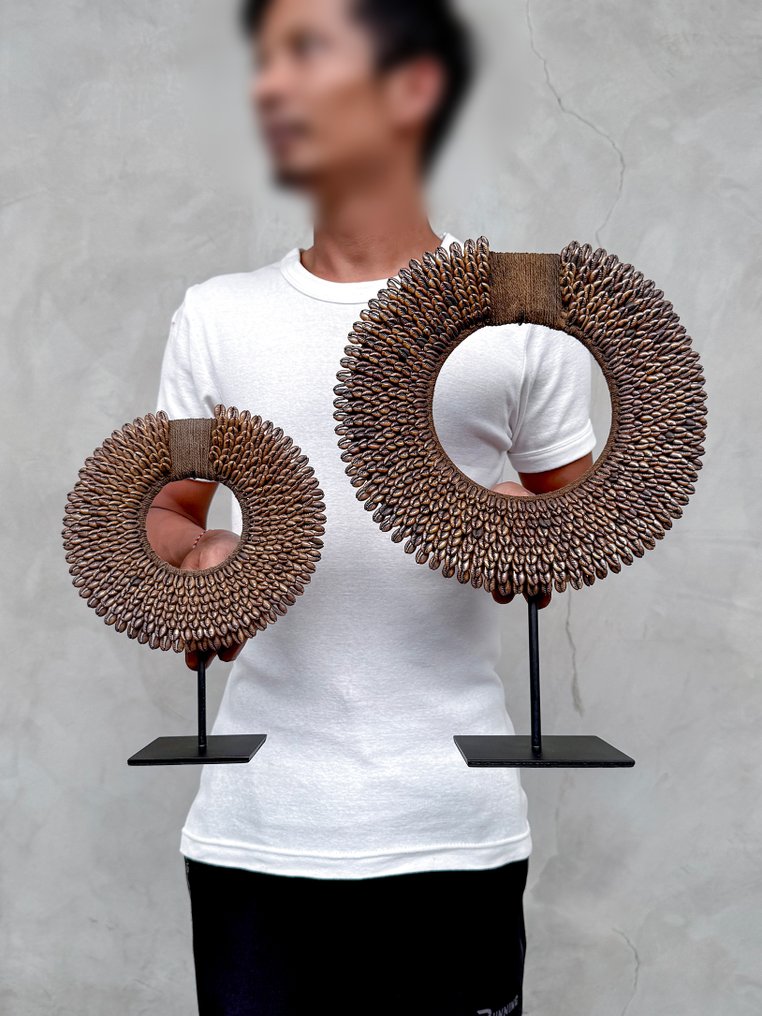 Decorative ornament (2) - NO RESERVE PRICE - Stunning Pair of Caramel Colored Tolai Necklaces on custom stands - Papua New Guinea #1.0