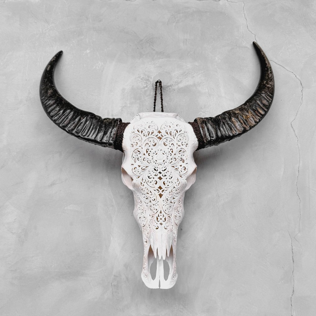 NO RESERVE PRICE-C-Large White Hand-Carved Water Buffalo Skull - Small Lotus Motif- Carved skull - Bubalus Bubalis - 78 cm - 71 cm - 19 cm- Non-CITES species -  (1) #2.1