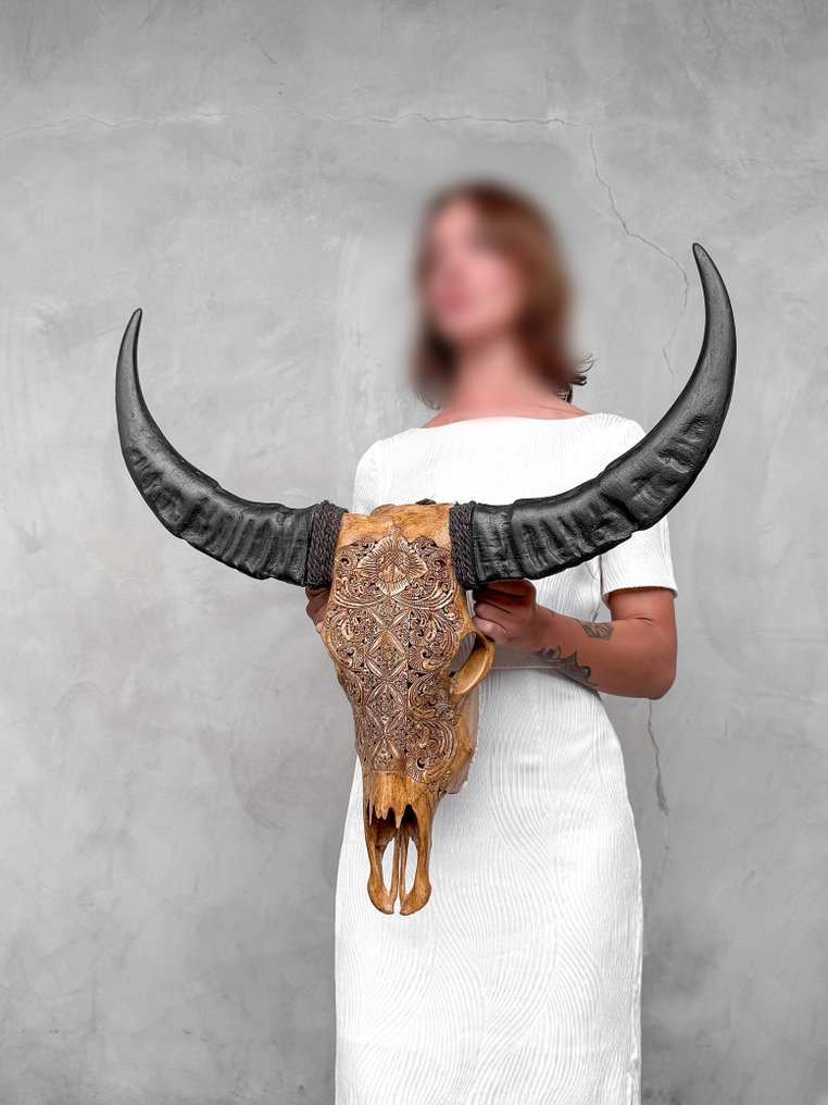 Ingen minstepris - Ekte stor brun håndskåret bøffelskalle - Ketupat-mønster. Utskåret hodeskalle - Bubalus Bubalis - 65 cm - 68 cm - 18 cm- Ikke-CITES arter - (1) #3.2