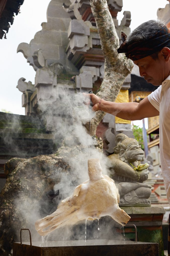 NO RESERVE PRICE - Authentic Black Carved Cow Skull - Ketupat Motif- Carved skull - Bos Taurus - 52 cm - 43 cm - 18 cm- Non-CITES species - (1) #1.0