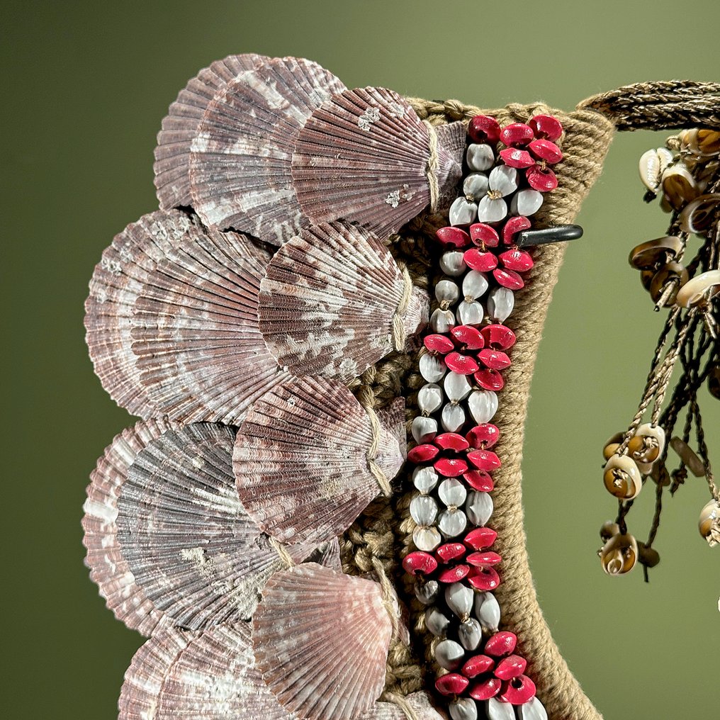 Decorative ornament - NO RESERVE PRICE - SN9 - Decorative shell necklace on a custom stand - Papua New Guinea #4.3