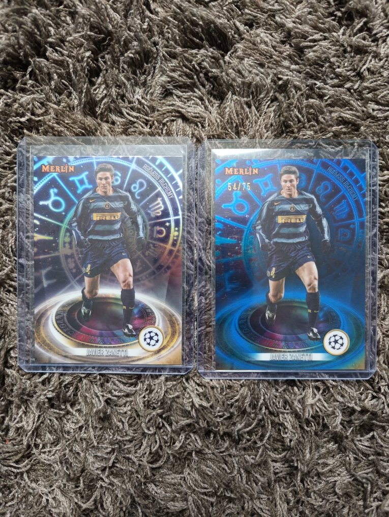 Panini, topps Javier Zanetti. - 47 Card - 全新 (M) #4.3