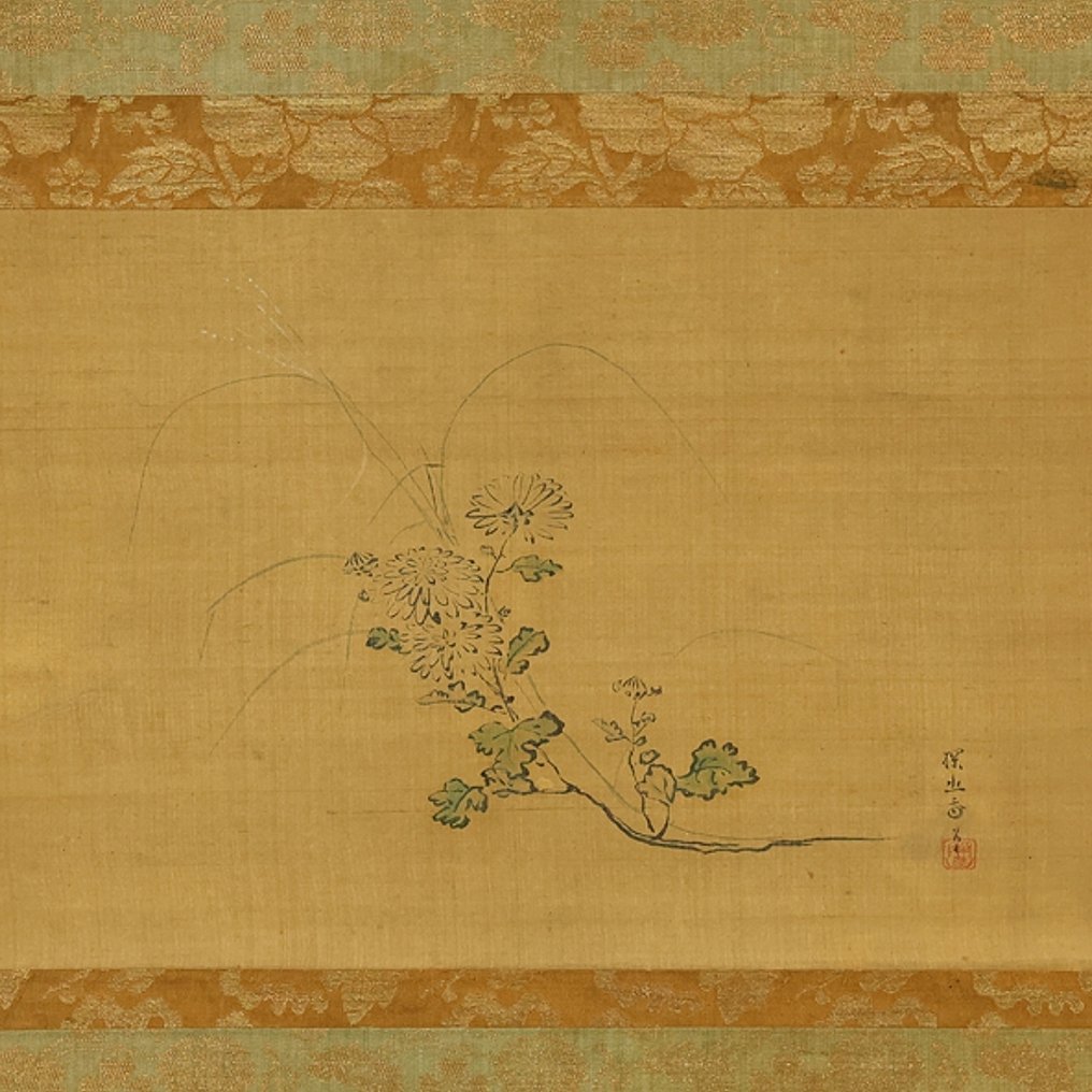 Wild Chrysanthemum - Beauty of Simplicity and Blank with Box - Attributed to Kano Tan'yū 狩野探幽 (1602-1674) - 日本 - 江戶時代早期  (沒有保留價) #1.0