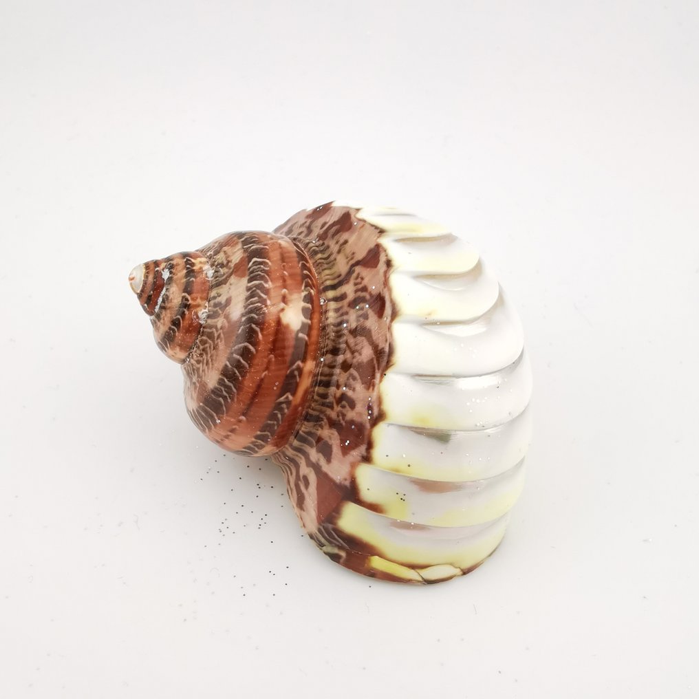 Σκηνή γέννησης - Μητέρα του μαργαριταριού, Τούμπα πεθολάτου καφέ ραβδωτό μωβ - ιταλική χειροτεχνία #3.2