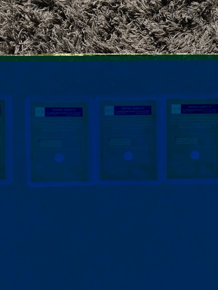 Panini, topps Javier Zanetti. - 47 Card - 全新 (M) #3.2