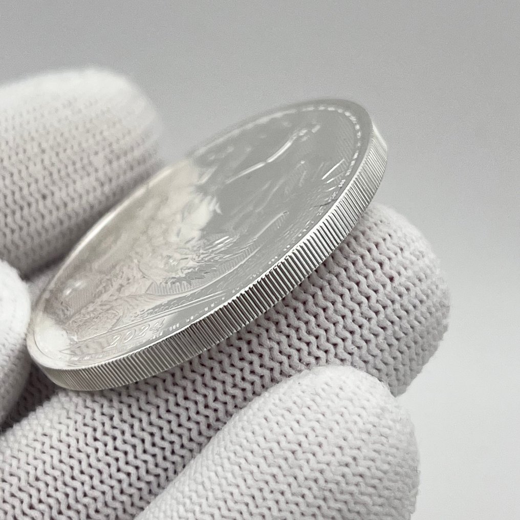 Reino Unido. 2 Pounds 2024 - St. George & the Dragon – 1 oz Silver coin .999 (Sem preço de reserva) #3.2