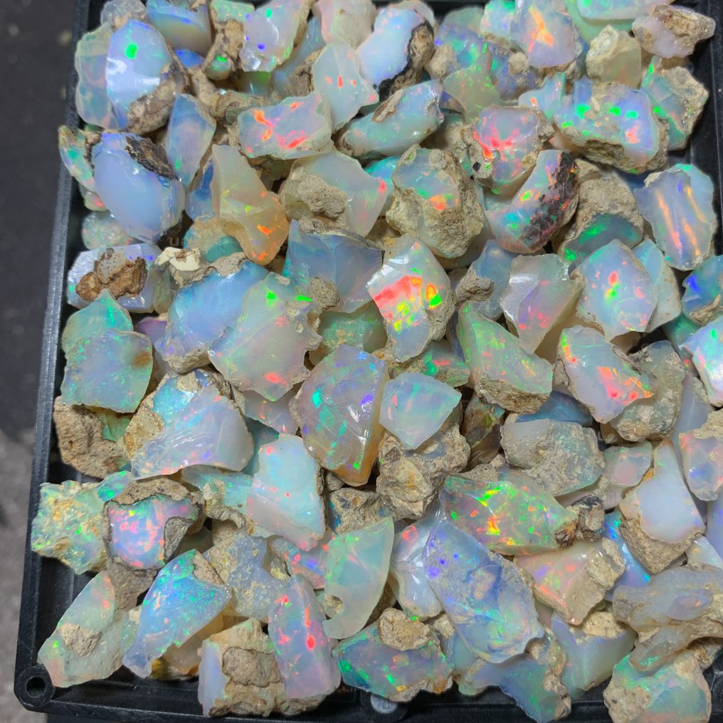 Ολόκληρη η παρτίδα ακατέργαστου Ethiopian opal - 230 καράτια βίντεο. Τραχύς - Ύψος: 12 mm - Πλάτος: 10 mm- 46 g #2.1