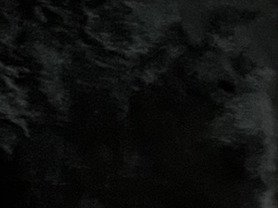 Cassina - Le Corbusier, Charlotte Perriand - 貴妃椅 - LC4 - 牛毛 - Matelas LC4 Cassina #4.3