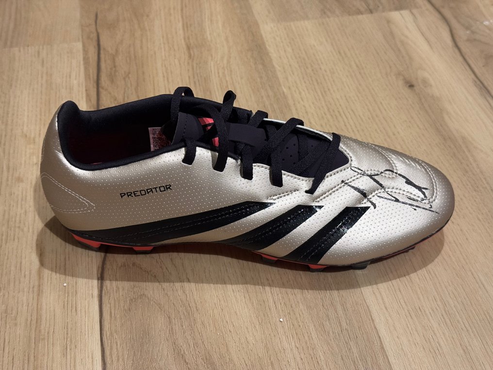 Inter Milan - 意大利足球联盟 - Javier Zanetti - 足球鞋, Adidas Predator  #1.0