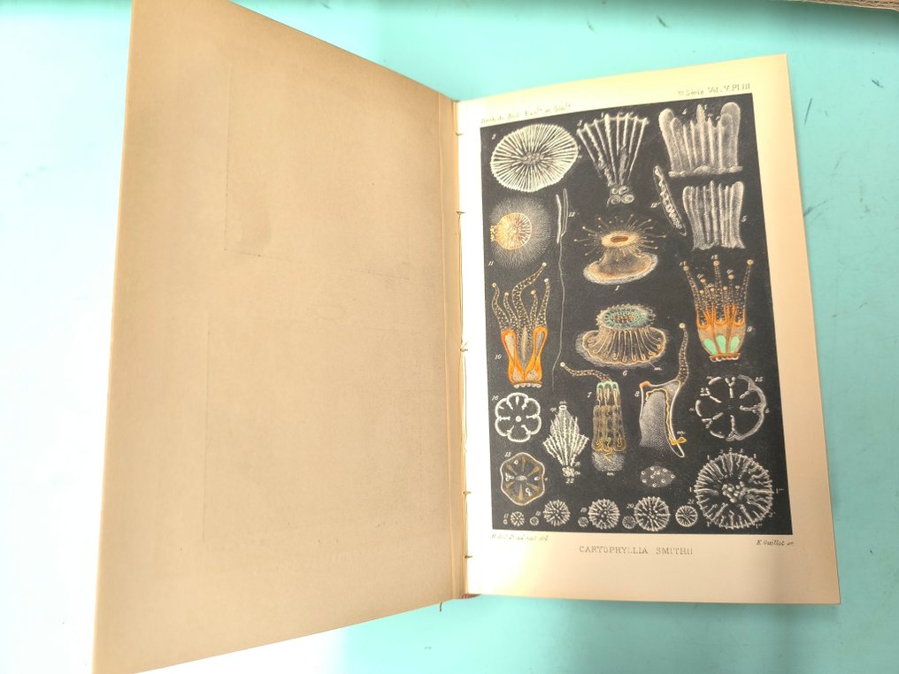 Henri de Lagaze-Duthiers - Archives de Zoologie expérimental et générale - 1892-1900 #1.0