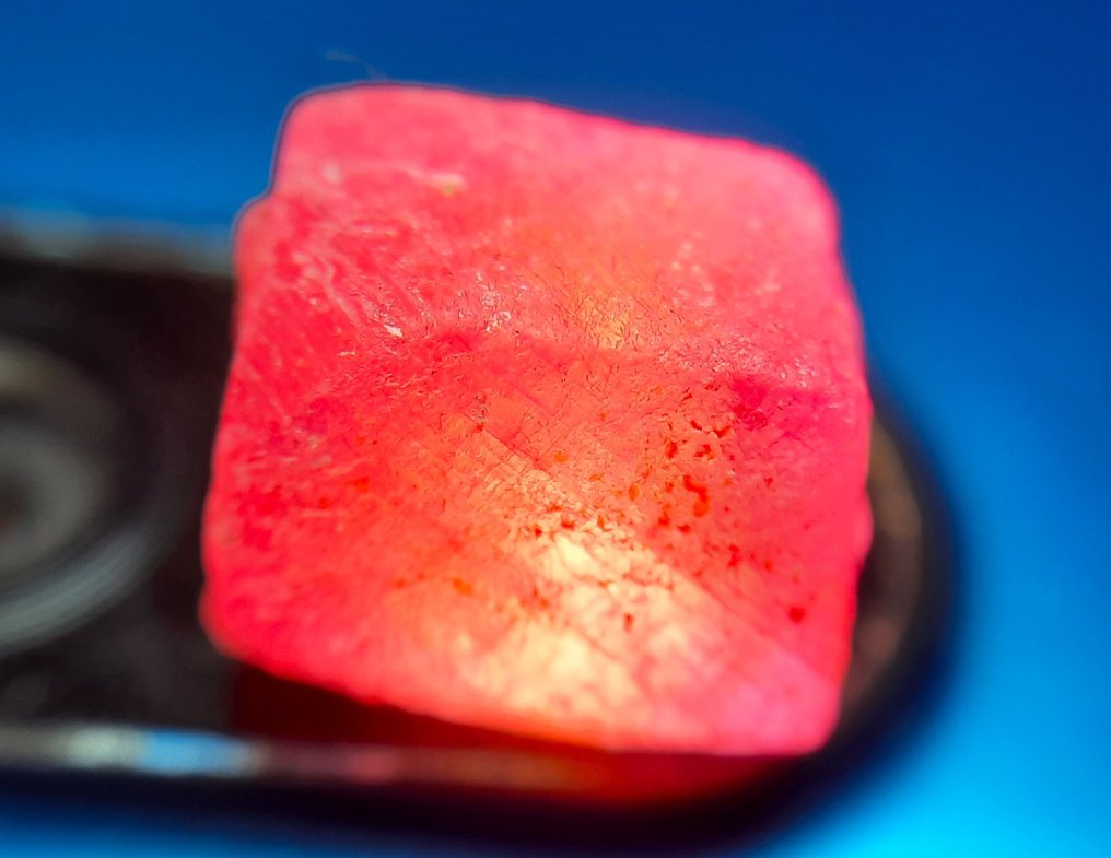 100,6 καράτια - Απεριποίητο ρουμπί - Τραχύς- 20.1 g #1.0