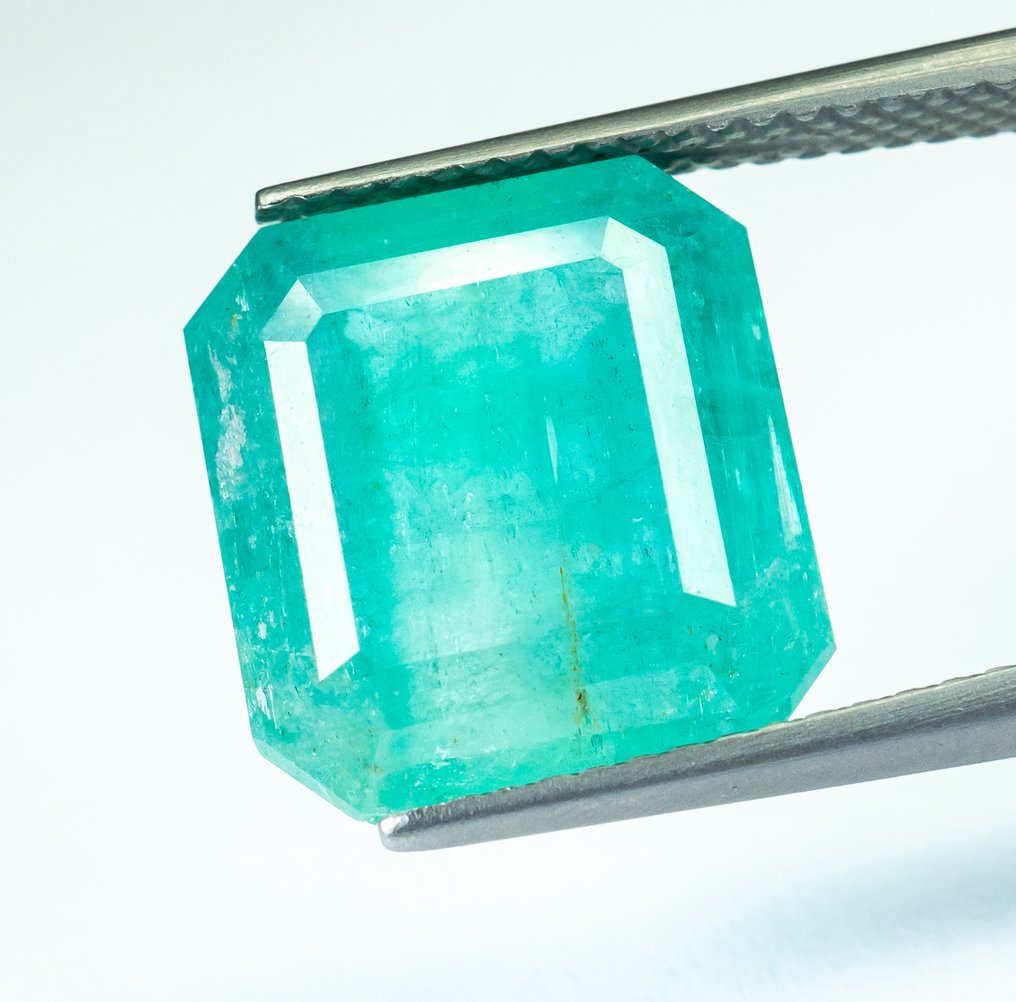 沒有保留價 祖母綠 - 7.69 ct - Bellerophon Gemlab - 蓝绿色(尼日利亚) #1.0