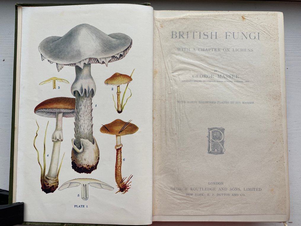 George Massee - British Fungi With a Chapter on Lichens. {40 Coloured plates} - 1920 #3.2