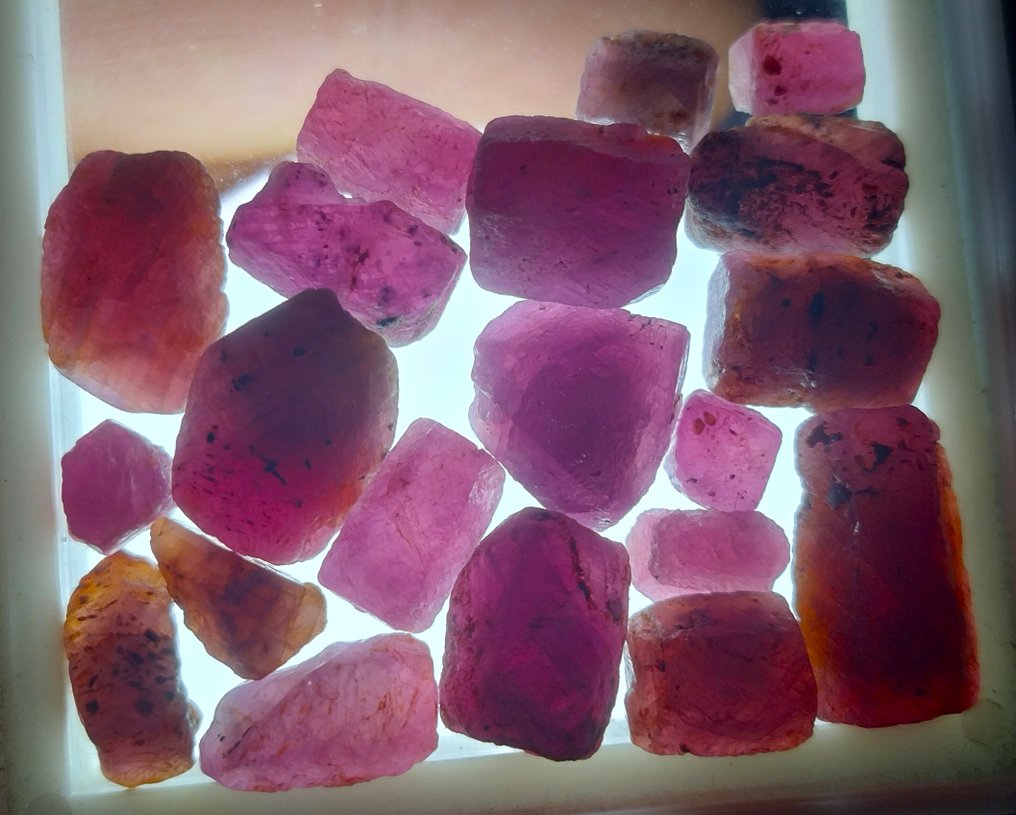 100,6 καράτια - Απεριποίητο ρουμπί - Τραχύς- 20.1 g #1.0