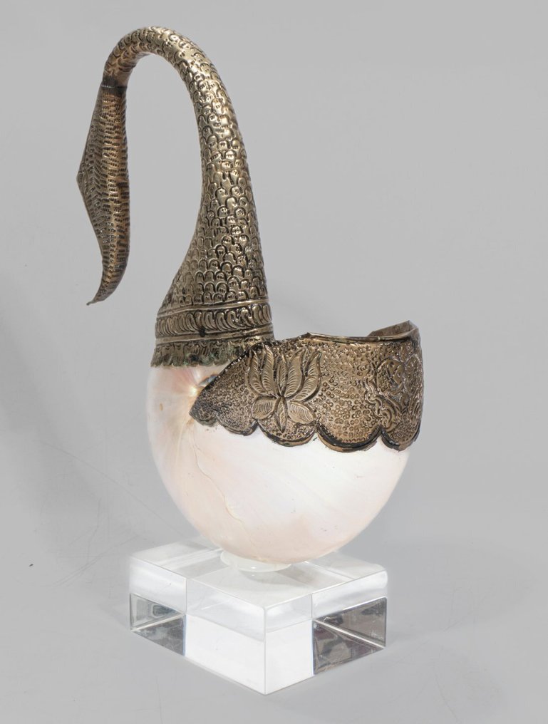 意大利天鹅雕塑，配有 Nautilus 螺旋壳，放置在优质亚克力底座上。 標本牆壁支架 - Nautilus - 30 cm - 21 cm - 0 cm - 非《瀕臨絕種野生動植物國際貿易公約》物種 - 1 #1.0