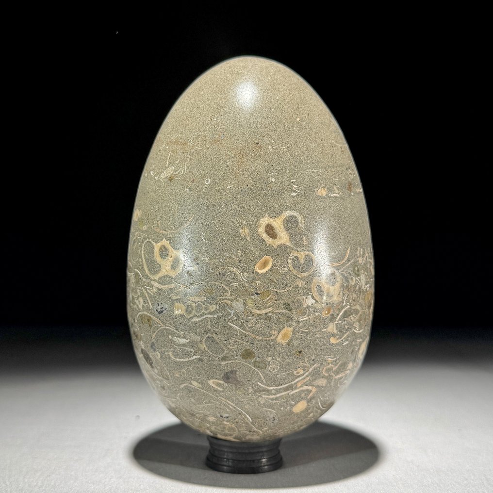 Dekorativ prydnad (2) - NO RESERVE PRICE - Wonderful Pair of Turritella Egg Shape and Cube Calcite Crystal Cluster on stand - Indonesien #4.3