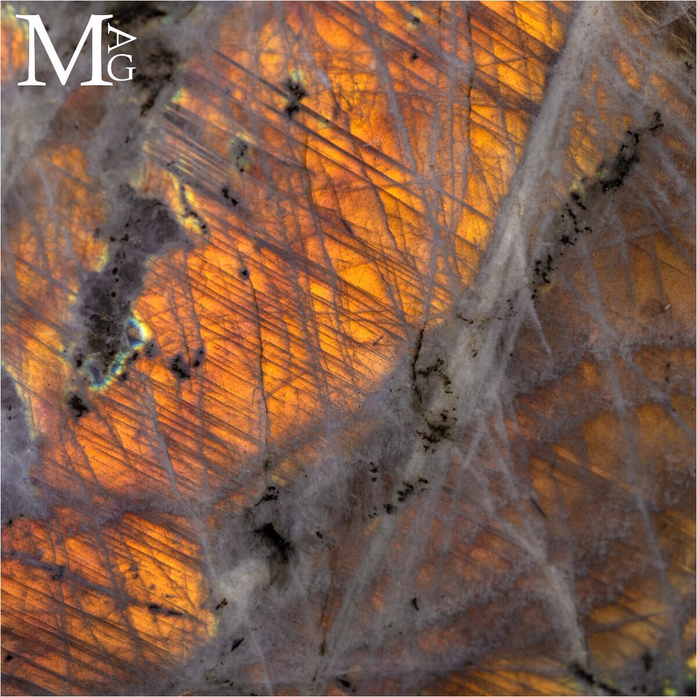 Madagascar Labradorite – Orange Gold Reflections Labradorite Free Form - Height: 115 mm - Width: 108 mm- 772 g #1.0