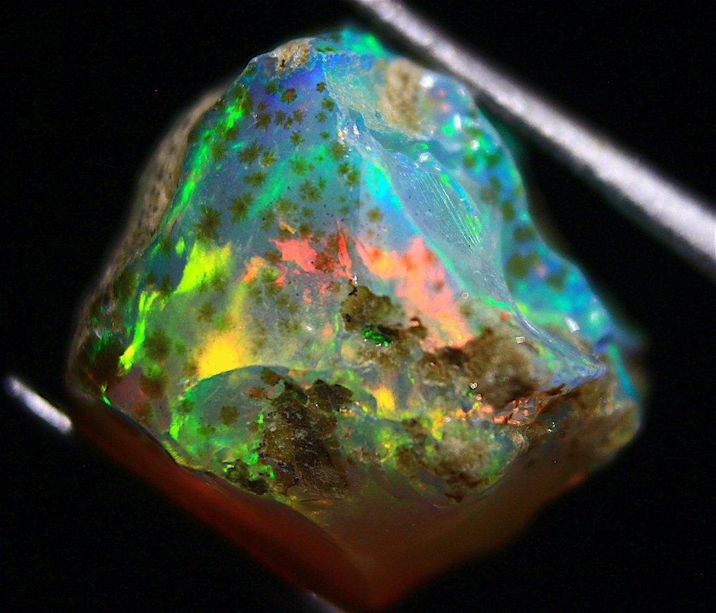 免运费 Ct. 8.10 埃塞俄比亚欧泊 粗糙 - 高度: 13 mm - 闊度: 12 mm- 1.62 g #3.2