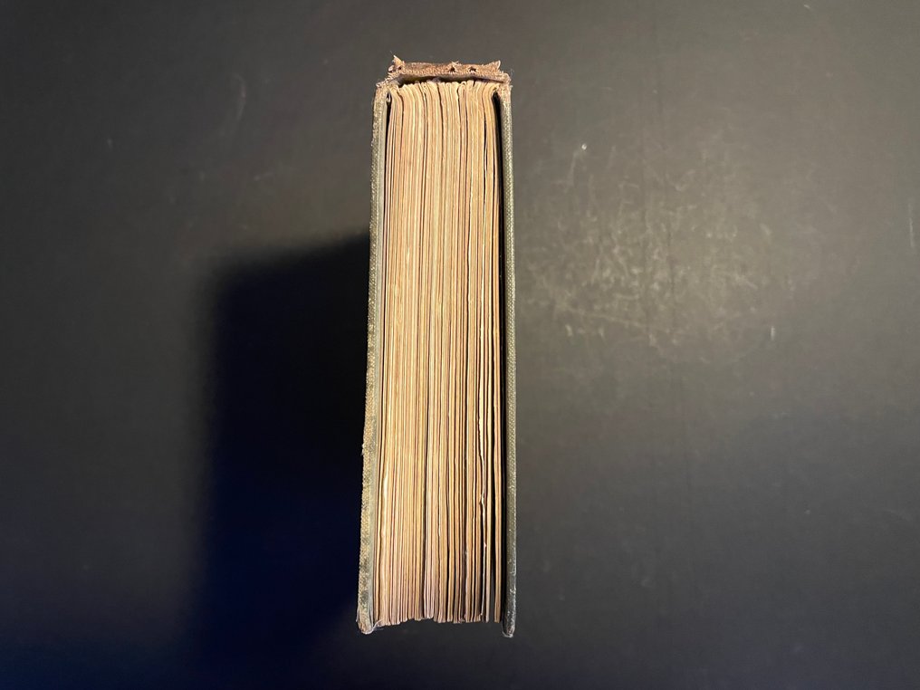 Barrie, J. M./ Rackham, A. - PETER PAN IN KENSINGTON GARDENS - 1910 #4.3