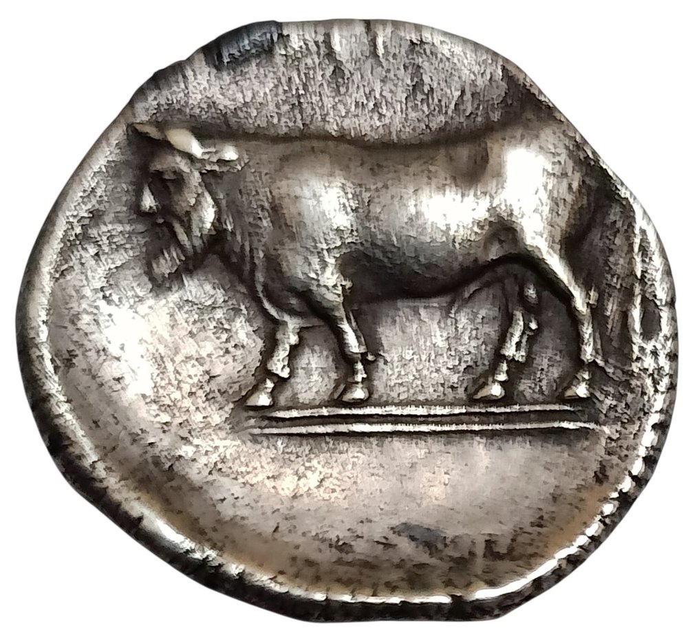 坎帕尼亚， 海里亚 Didrachm ca. 400-355 BC #1.0