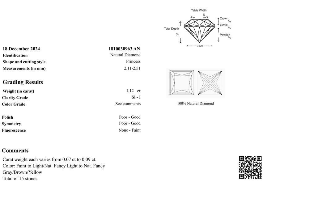 Sans Prix de Réserve - 15 pcs Diamant  (Naturelle)  - 1.12 ct - Rectangle - SI1, SI2, I1, I2, I3 - Gem Report Antwerp (GRA) #3.2