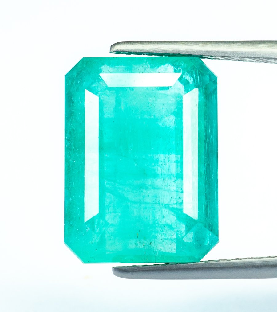 Zonder minimumprijs Smaragd  - 16.31 ct - Bellerophon Gemlab - Blauwgroen (Nigeria) #1.0