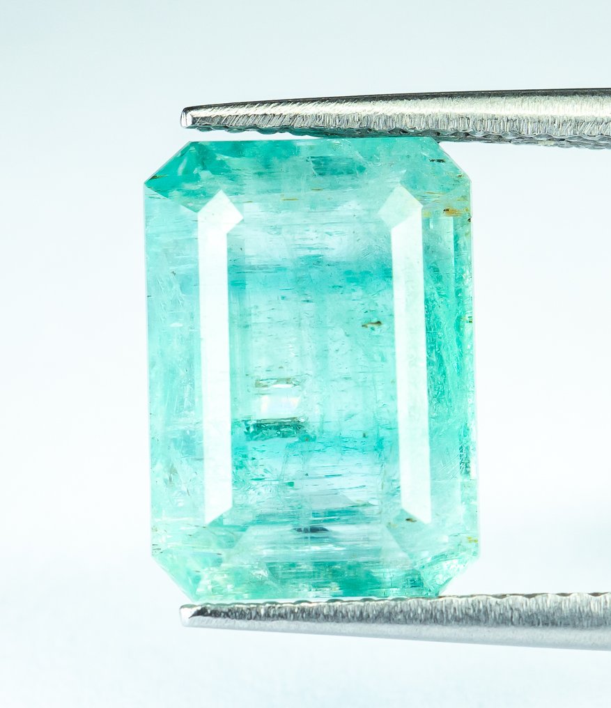 χωρίς τιμή ασφαλείας Σμαράγδι - 6.04 ct - Bellerophon Gemlab - Μπλε-πράσινο (Νιγηρία) #1.0