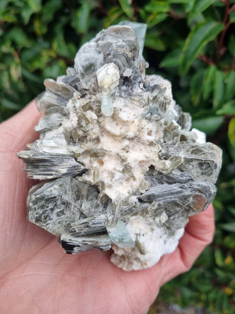 HQ perfect aquamarine crystals with mica on matrix Crystal - Height: 110 mm - Width: 85 mm- 436 g #1.0