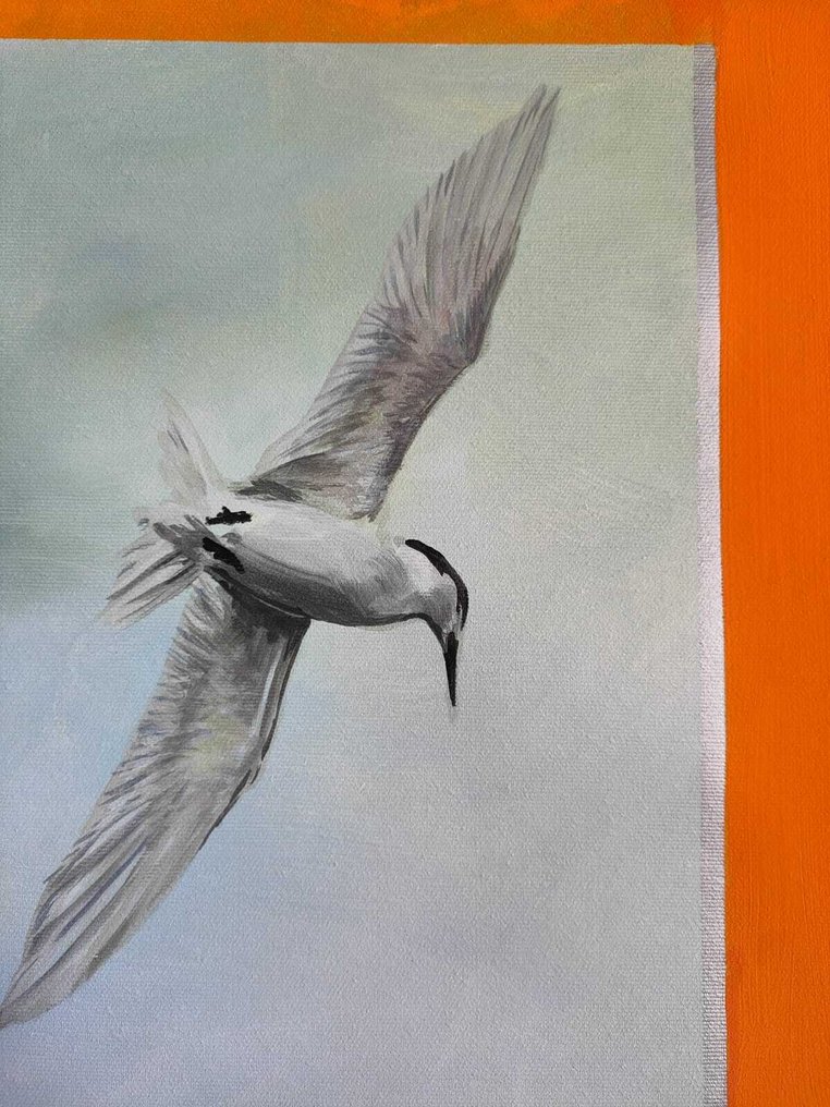 Kander - Opposites birds - XXL - NO Reserve #3.2