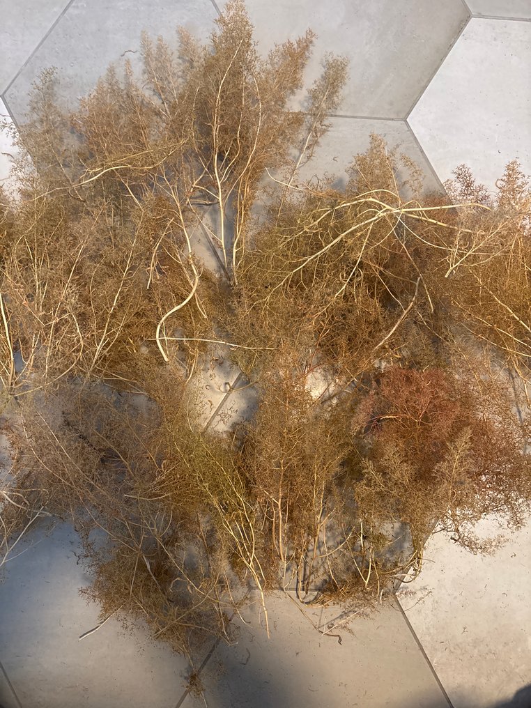 Geen meek H0 - Peisaj machetă tren (90) #3.2