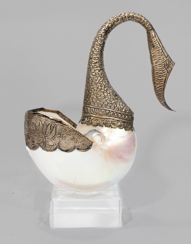 意大利天鹅雕塑，配有 Nautilus 螺旋壳，放置在优质亚克力底座上。 標本牆壁支架 - Nautilus - 30 cm - 21 cm - 0 cm - 非《瀕臨絕種野生動植物國際貿易公約》物種 - 1 #4.3