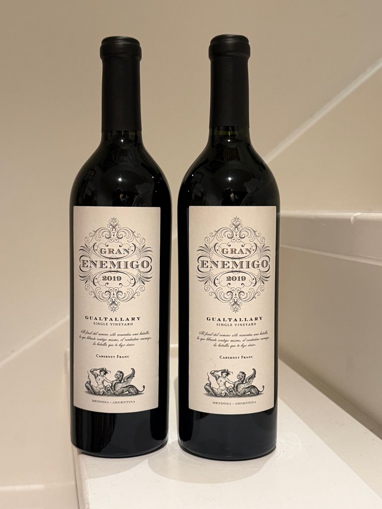 2019 Gran Enemigo Single Vineyard Gualtallary - Μεντόσα - 2 Bottles (0.75L) #1.0