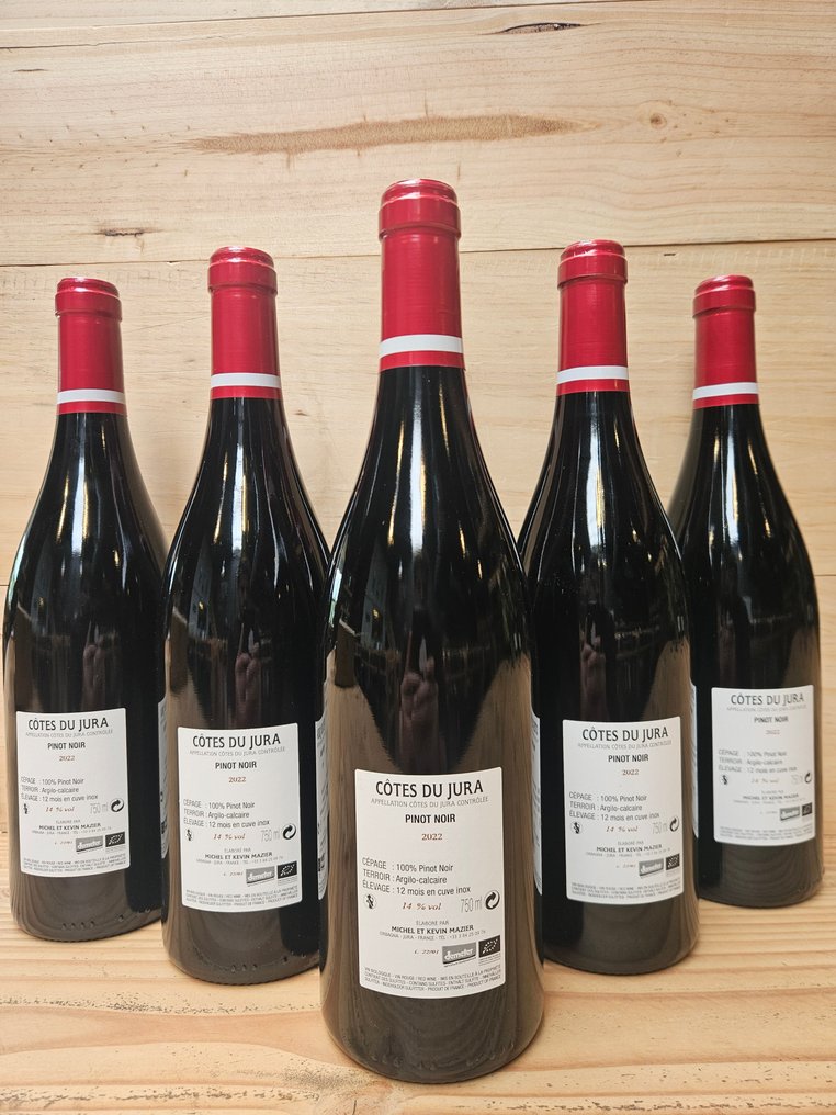 2022 Domaine des Ronces - Τζούρα - 6 Bottles (0.75L) #1.0