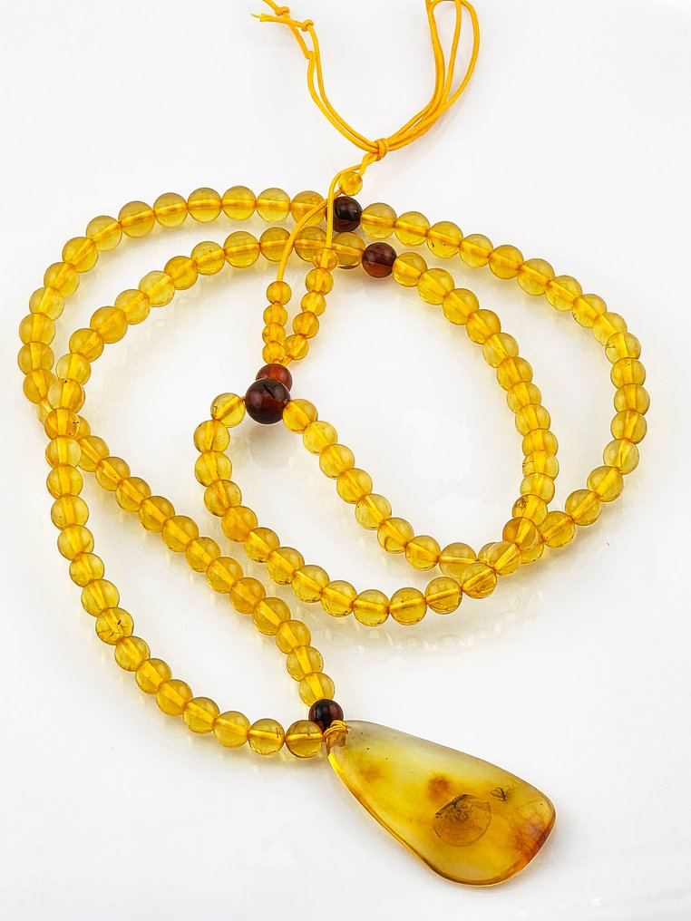 Κεχριμπάρι - Collector’s Fossil AMBER Necklace - Detailed WASP Inclusion in Pendant (χωρίς τιμή ασφαλείας) #2.1