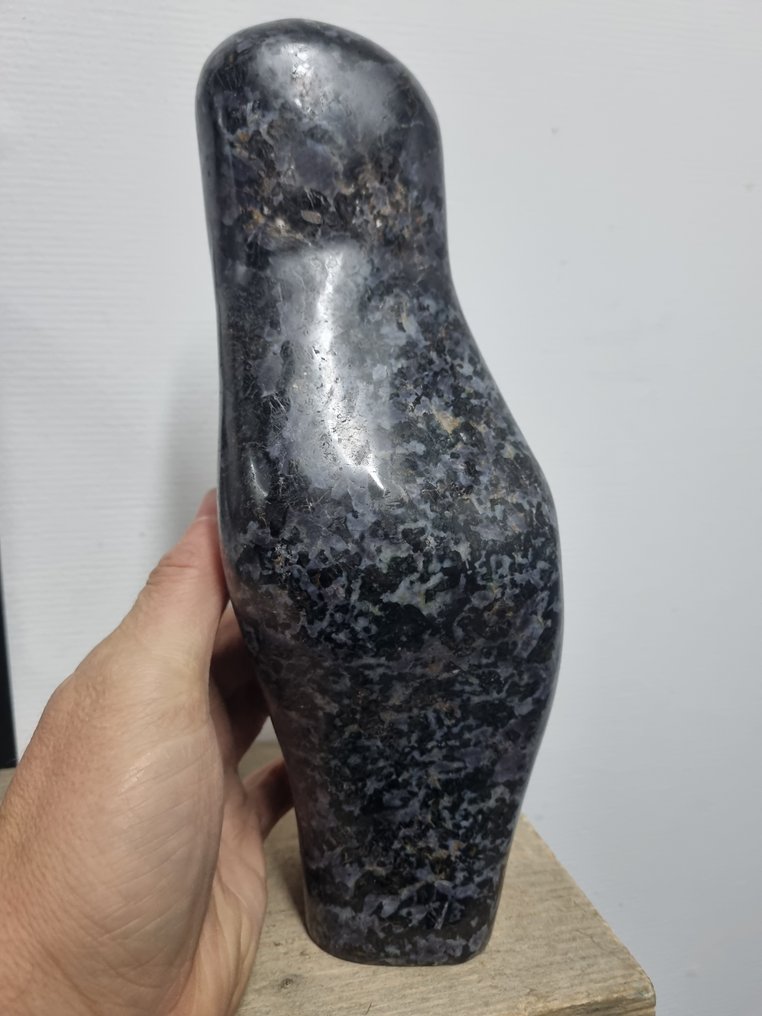 XXL Mystic Gabbro Merlinite skulptur - HQ - Højde: 285 mm - Bredde: 100 mm- 3.86 kg #4.3