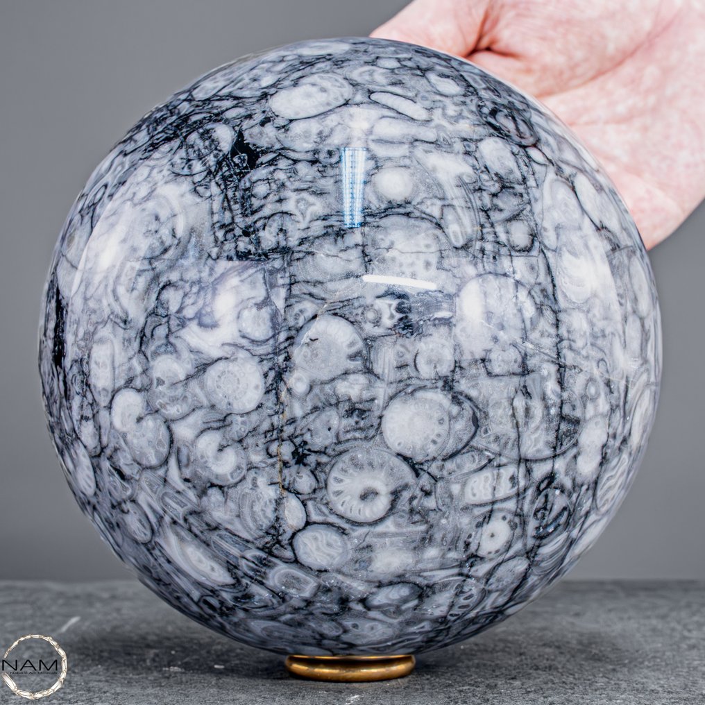 Χρονική κάψουλα της Γης – Φυσική σφαίρα απολιθωμάτων από αμμονίτες και Orthoceraten- 3212.79 g #1.0